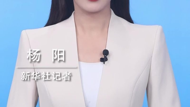 定制化AI应用开发：价格背后的价值考量**